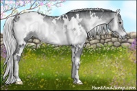 Horse Color:White Spotted Silver Blue Onyx Chinchilla Rabicano 
