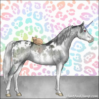Horse Color:White Spotted Silver Grullo Chinchilla Splash Brindle 
