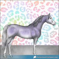 Horse Color:Silver Grullo Chinchilla Onyx Rabicano Brindle