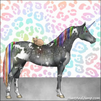 Horse Color:Painted White Spotted Silver Black Chinchilla Sabino 