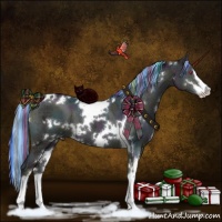 Horse Color:Painted White Spotted Midnight Chocolate Silver Grullo Chinchilla Ice Onyx Sabino Brindle 