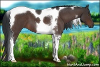 Horse Color:Brown Roan Tobiano 