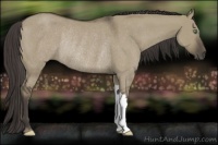 Horse Color:Smoky Grullo Rabicano 