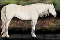 Horse Color:Smoky Creme Rabicano 