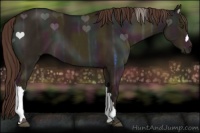 Horse Color:Midnight Liver Red Dun Ice 
