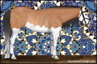 Horse Color:Bay Roan Splash Rabicano