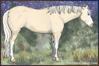 Horse Color:Silver Classic Cream Champagne Dun Splash 