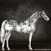 Horse Color:White Spotted Liver Chestnut Ice Mushroom 