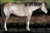 Horse Color:White Spotted Bay Ice Onyx 