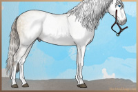 Horse Color:Gray Chocolate Palomino Dun Sabino Frame 