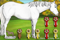 Horse Color:Silver Smoky Grullo Pearl Splash Tobiano Appaloosa Rabicano 