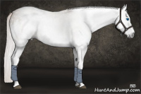 Horse Color:Gray White Spotted Silver Brown Dun Splash Tobiano 