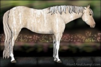 Horse Color:Silver Buckskin Ice Dun Tobiano 