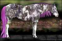 Horse Color:Painted Silver Smoky Black Ice Tobiano  and Nacre White Spotted Black Ice Splash 