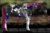 Horse Color:Painted White Spotted Black Ice Tobiano 