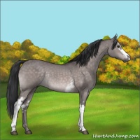 Horse Color:Platinum White Spotted Brown Dun Rabicano 