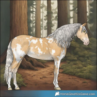 Horse Color:White Spotted Silver Classic Cream Champagne 