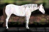 Horse Color:Liver Red Dun Ice Sabino Tobiano 