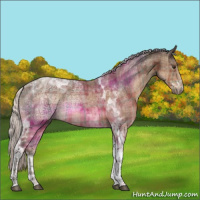 Horse Color:Plaid  Silver Brown Ice Tobiano 
