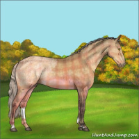 Horse Color:Plaid  Silver Buckskin Ice Dun Sabino Rabicano 