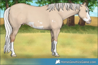 Horse Color:Silver Classic Champagne Dun Splash Frame 