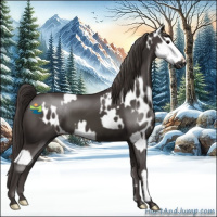 Horse Color:Smoky Black Splash Appaloosa and Smoky Black