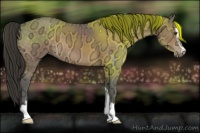 Horse Color:Buckskin Ice Mushroom Sabino 