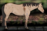 Horse Color:Bay Ice Roan Dun 