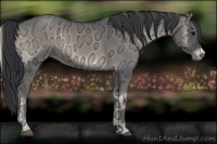Horse Color:Blue Onyx Ice 