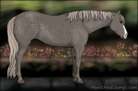 Horse Color:Silver Black 