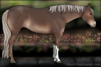 Horse Color:Silver Black 