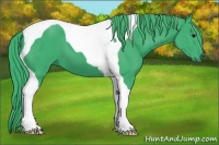 Horse Color:Watercolor Black Tobiano 