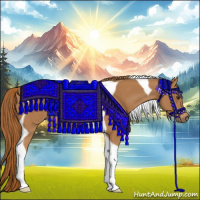 Horse Color:Chestnut Tobiano