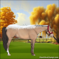 Horse Color:Amber Champagne 