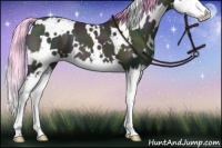 Horse Color:Watercolor White Spotted Midnight Brown Ice Onyx Splash 