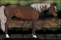 Horse Color:Silver Brown 