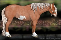 Horse Color:Silver Bay Roan Frame Rabicano 