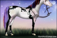 Horse Color:Painted Watercolor Buckskin Pearl Onyx Tobiano Rabicano