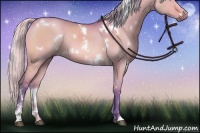 Horse Color:Watercolor White Spotted Silver Brown Dun Sabino Rabicano