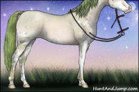 Horse Color:Watercolor Buckskin Pearl Dun Splash 