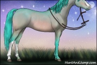 Horse Color:Watercolor Brown Dun Rabicano 