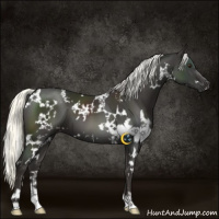 Horse Color:White Spotted Liver Chestnut Mushroom 