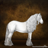 Horse Color:Gray White Spotted Grullo Pearl 