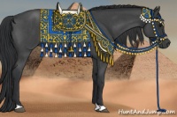 Horse Color:Blue Roan 