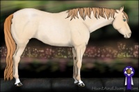 Horse Color:Smoky Blue Roan Pearl Rabicano 