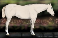 Horse Color:Smoky Creme Roan 
