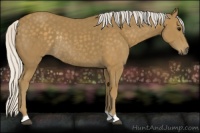 Horse Color:Silver Smoky Black Rabicano 