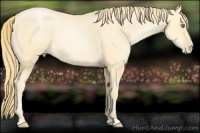 Horse Color:Smoky Black Pearl 