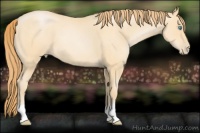 Horse Color:Buckskin Roan Pearl 