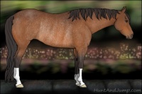 Horse Color:Buckskin Rabicano